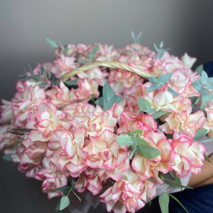 51 джумилия  в корзине   в Калуге