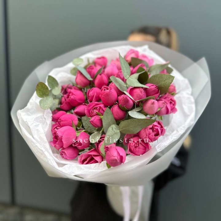 17 Мисти бабблс в Калуге