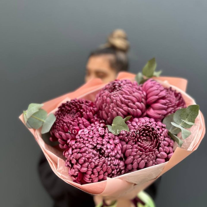 Хризантемы  Бигуди  в Калуге