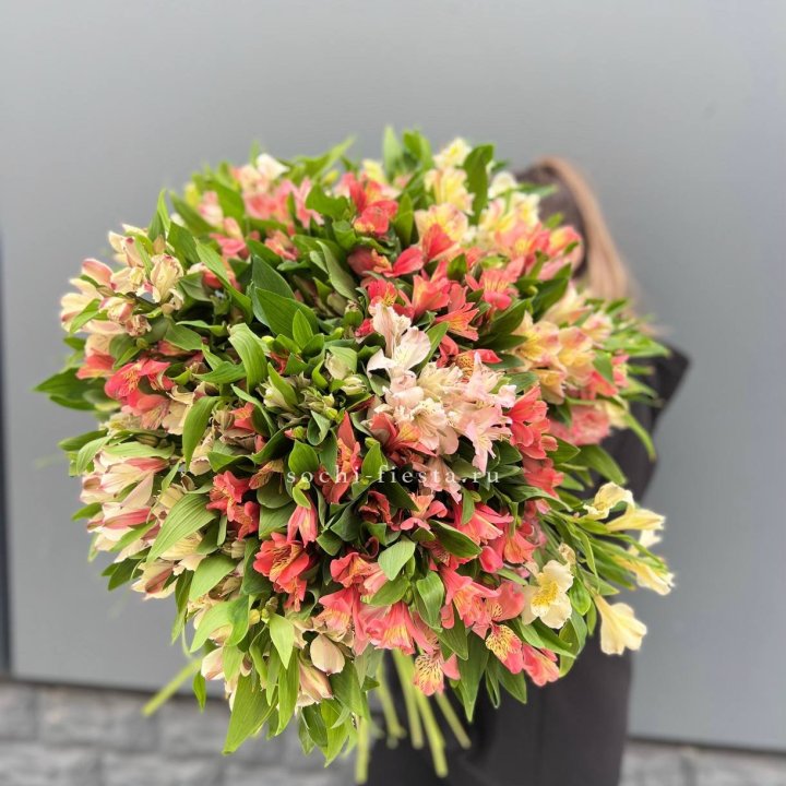 51 альстромерия в Калуге