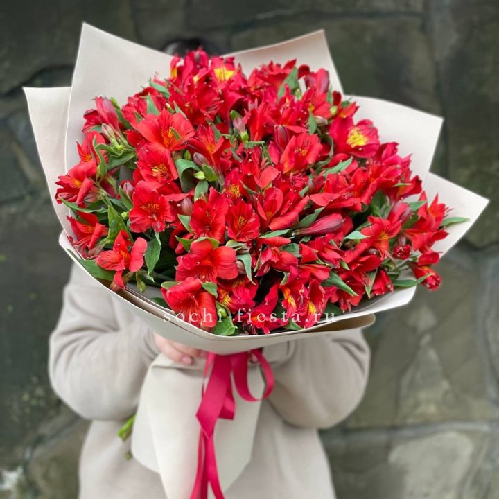 51 альстромерия в Калуге