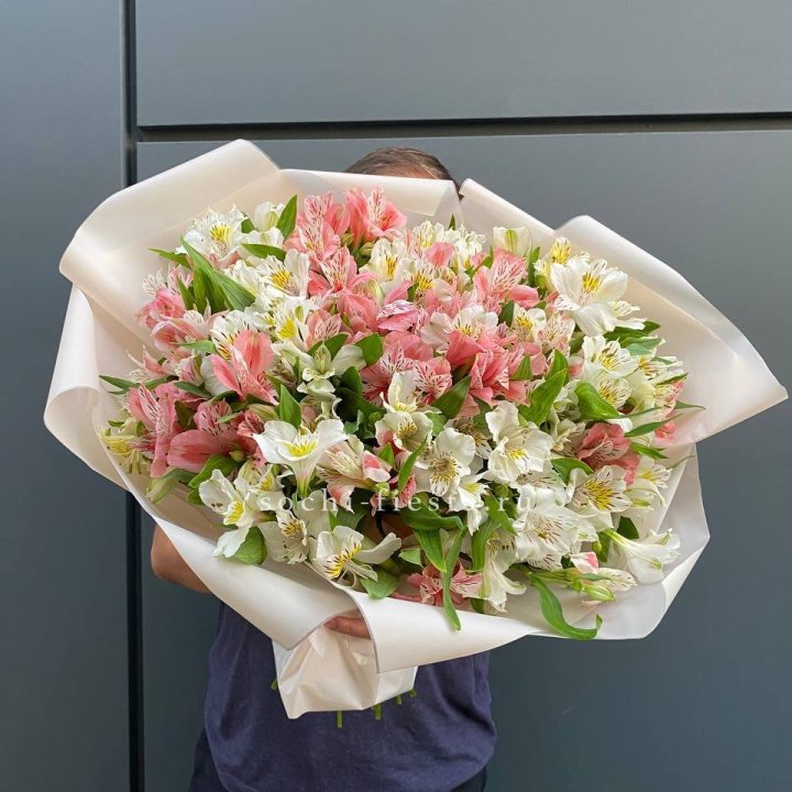 39 альстромерий в Калуге