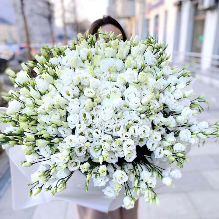 101 белая эустома в Калуге