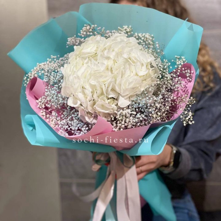 Гортензия "Райдов" в Калуге