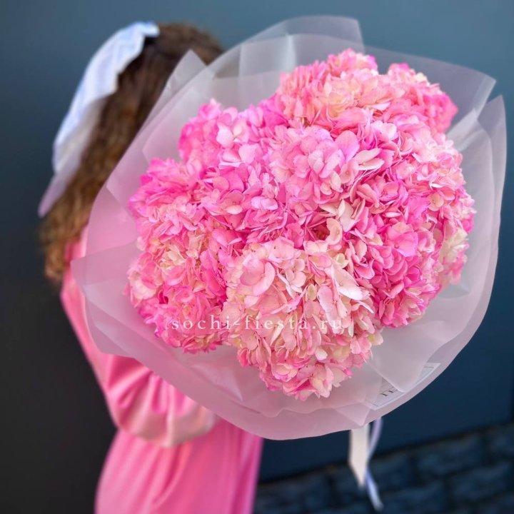 7 ярко розовых гортензий в Калуге