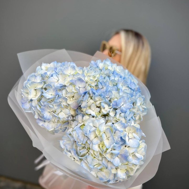 Букет из 3 голубых гортензий  в Калуге