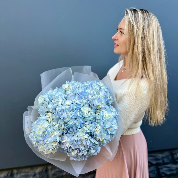 7 голубых гортензий в Калуге