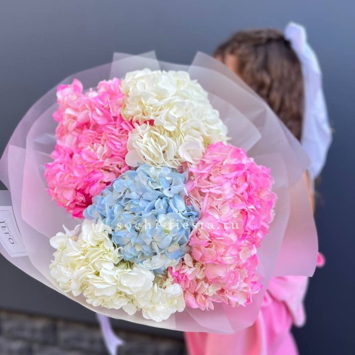 7 гортензий микс в Калуге