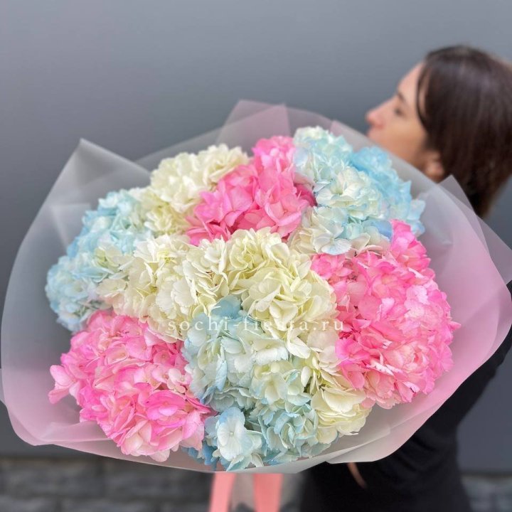 9 гортензий микс в Калуге
