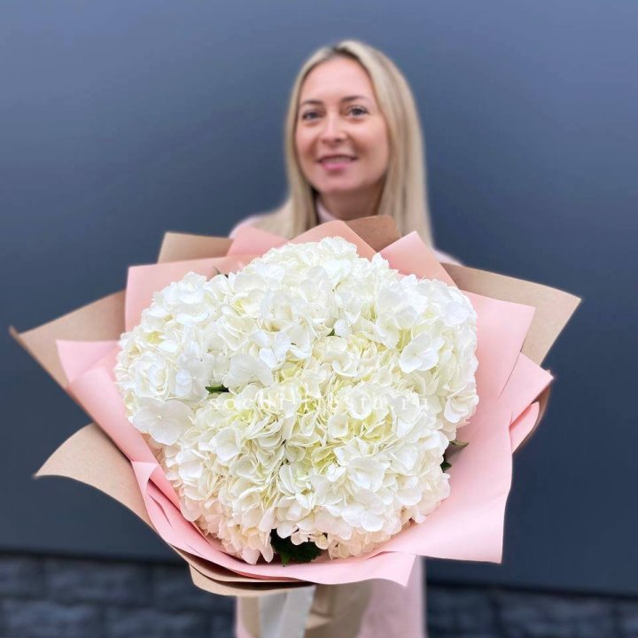 Гортензия белая в Калуге