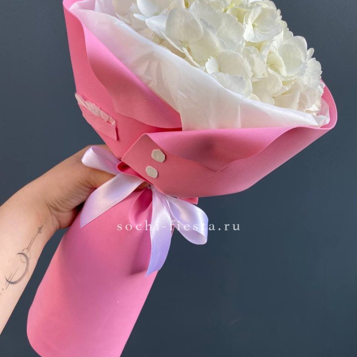 Гортензия в розовом пиджаке в Калуге