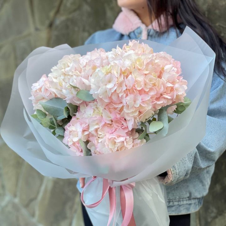 5 розовых гортензий в Калуге