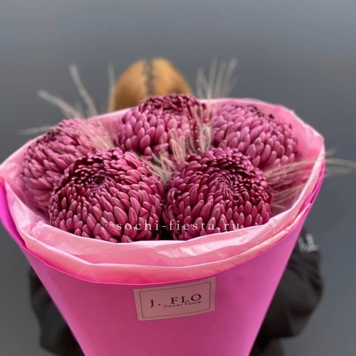 Хризантемы  Бигуди с стифой в Калуге