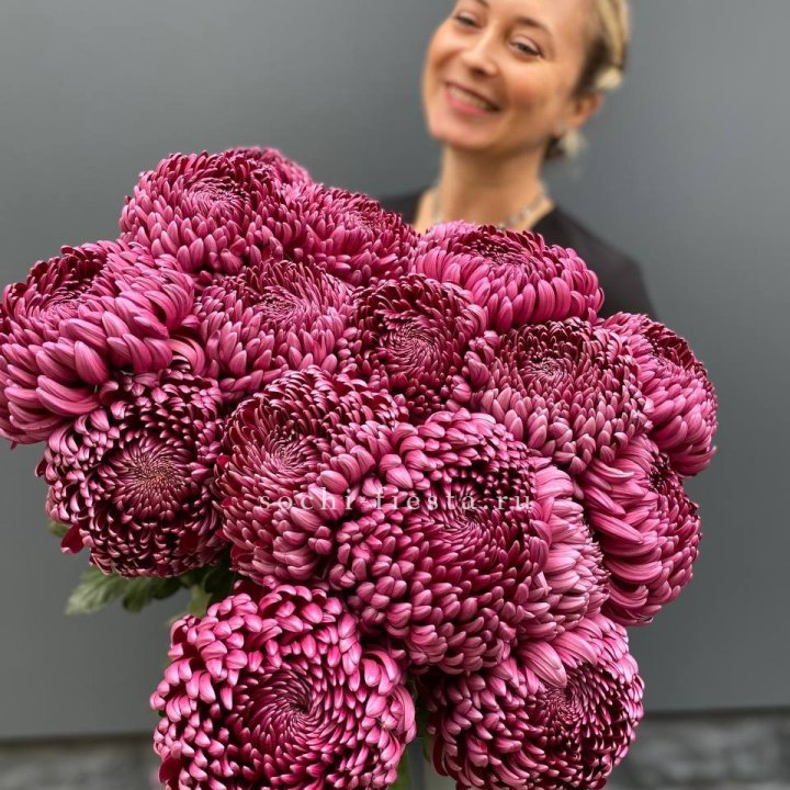 Охапка хризантем Бигуди в Калуге