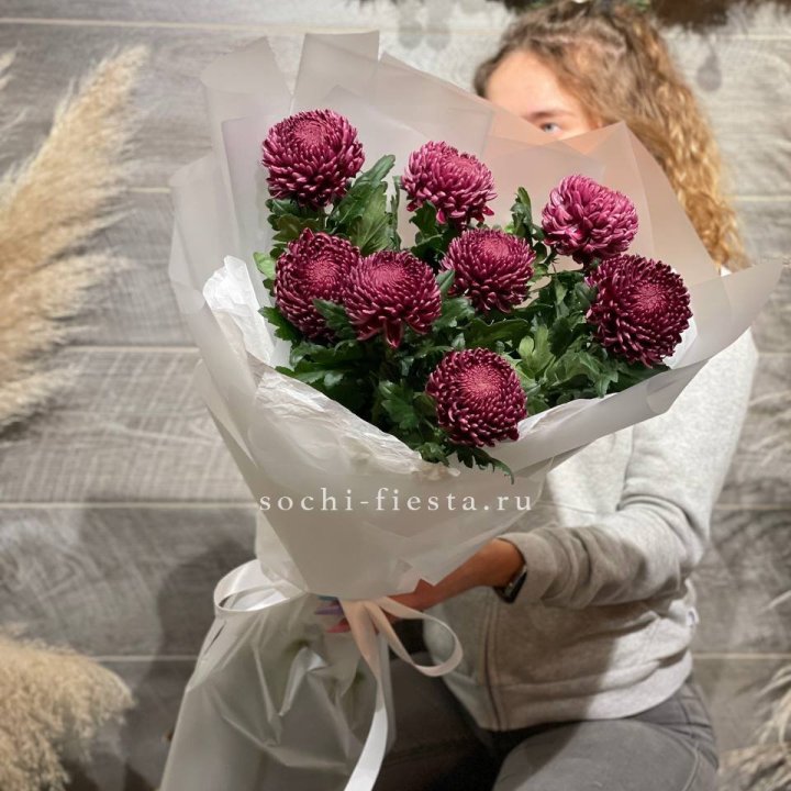 Хризантемы Бигуди в Калуге