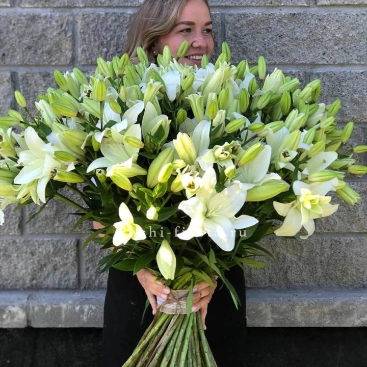 51 лилия в Калуге