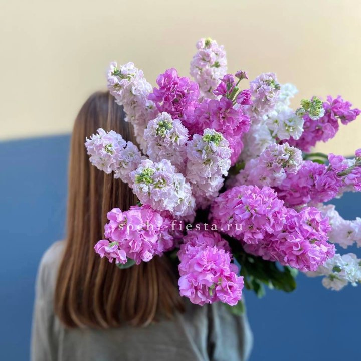 Охапка маттиолы в Калуге