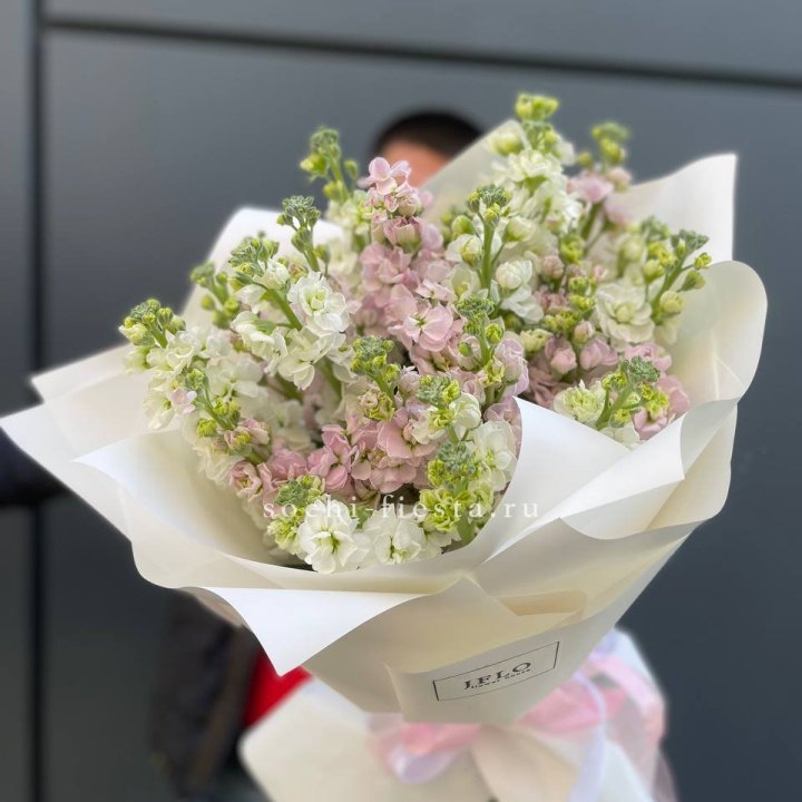 29 маттиол  в Калуге