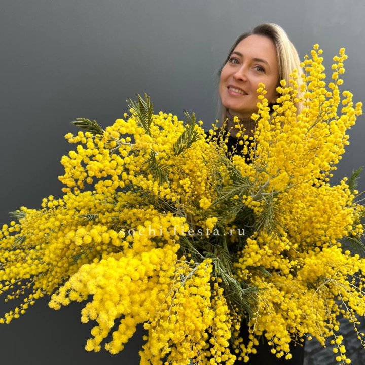 Охапка мимозы №2 в Калуге