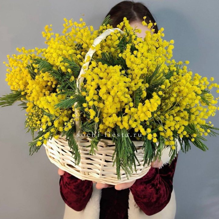 Корзина ароматной мимозы в Калуге