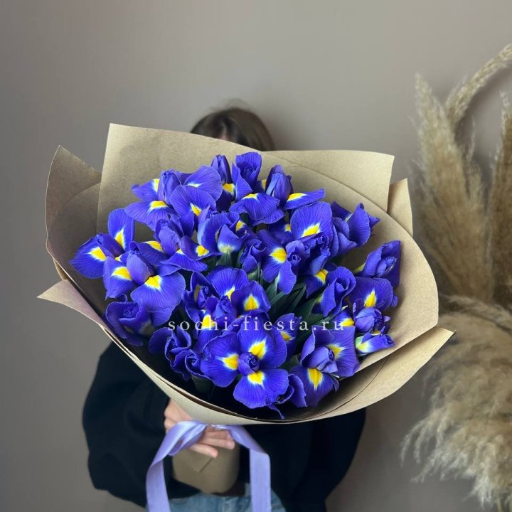 Ирисы в Калуге