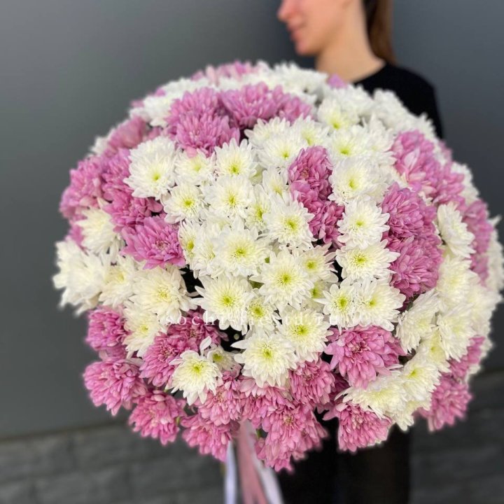  Букет 25 хризантем микс в Калуге