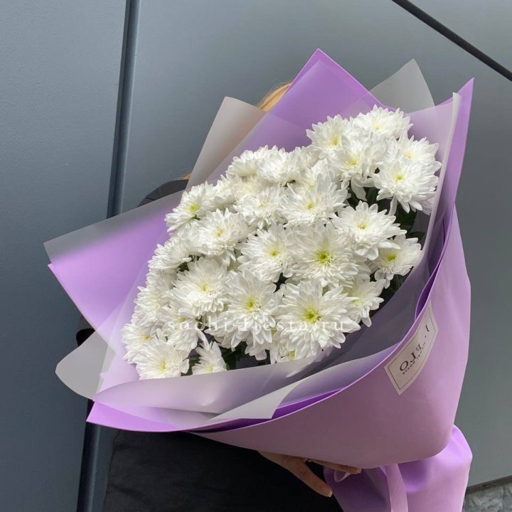  7 хризантем  в Калуге