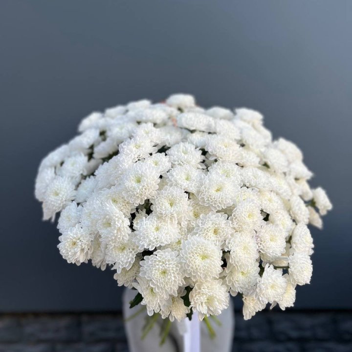  25 хризантем белых в Калуге