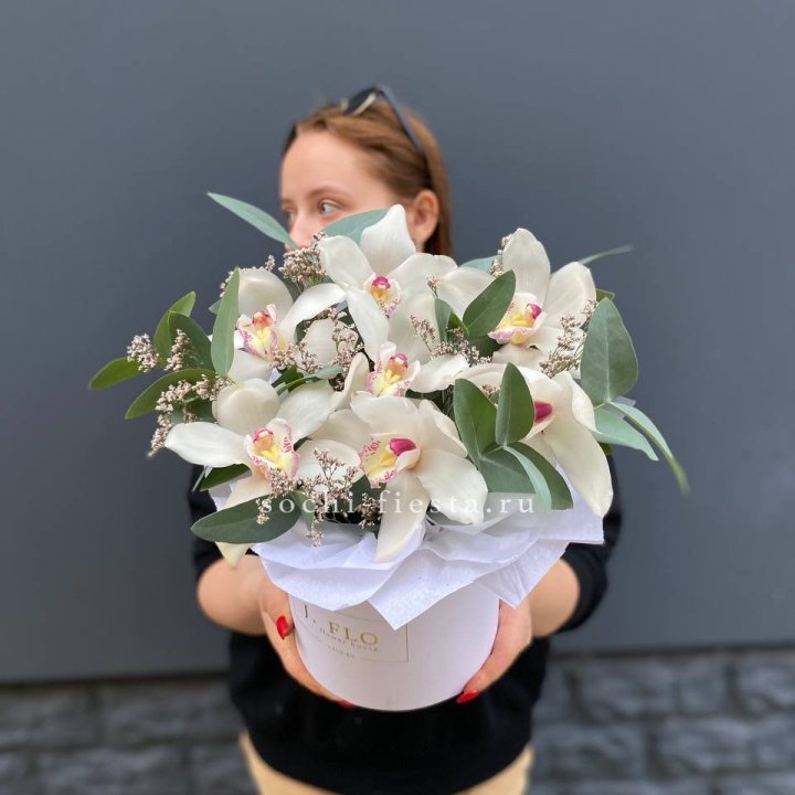 7 орхидей в боксе в Калуге