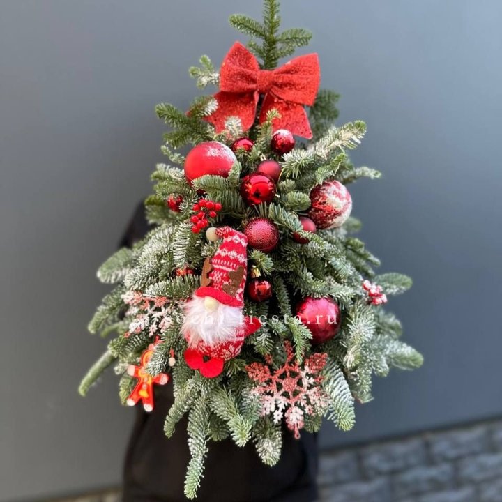 Новогодняя елочка "Ред" в Калуге