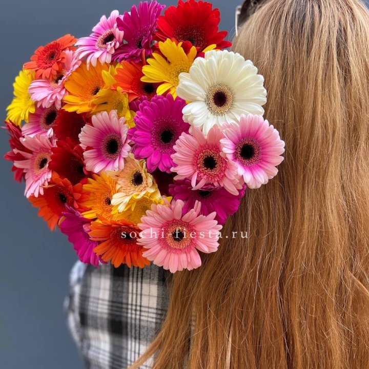 Охапка гербер  в Калуге