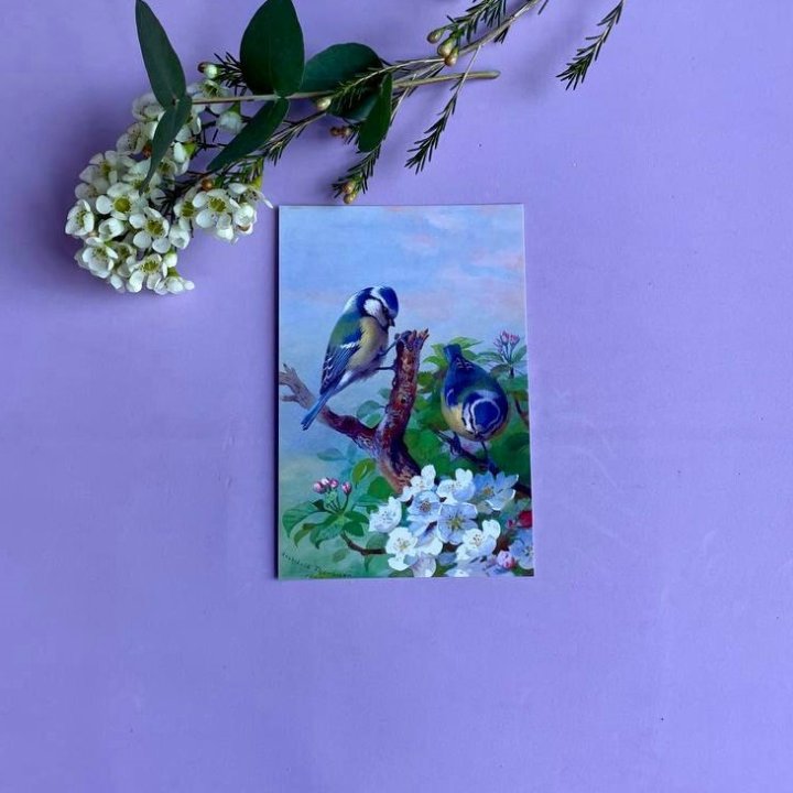 Открытка к букету "Птицы" в Калуге