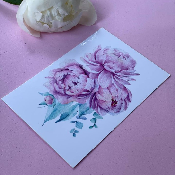 Открытка к букету "Пионы" в Калуге