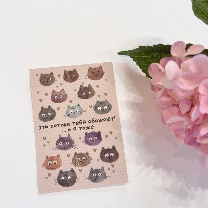 Открытка к букету "Котики" в Калуге