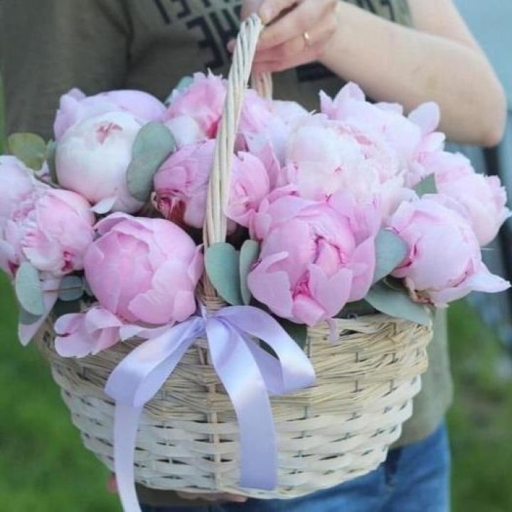 15 пионов в корзине в Калуге