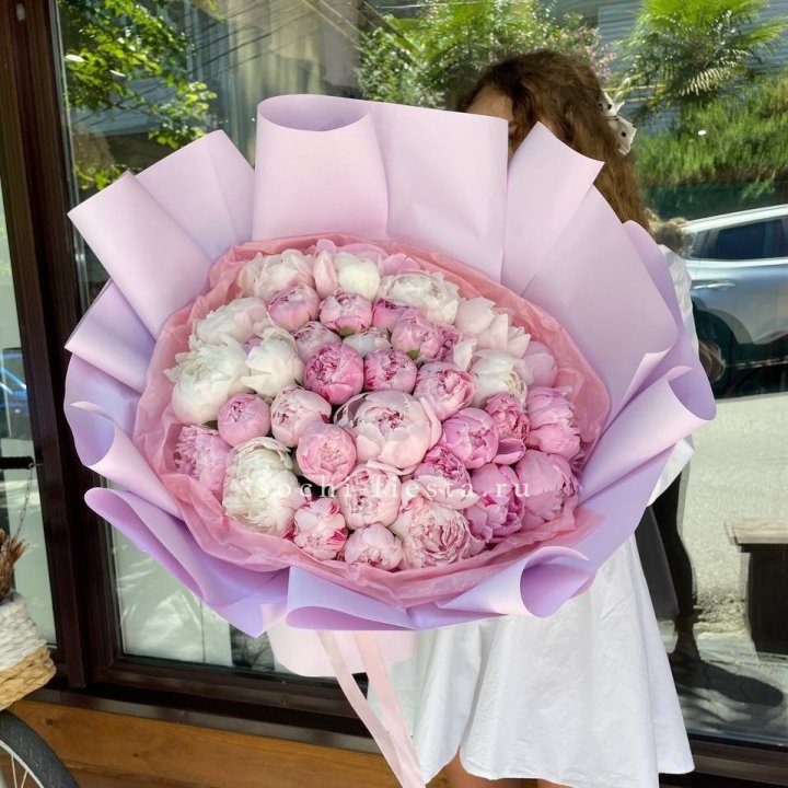 51 розовый пион в Калуге