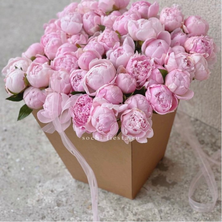 49 пионов в крафт коробке в Калуге