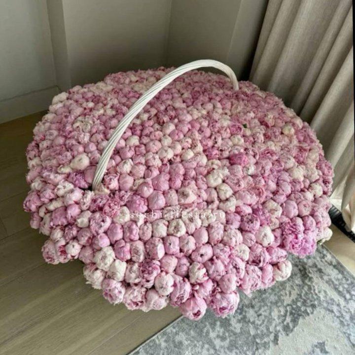 Корзина 555 пионов в Калуге