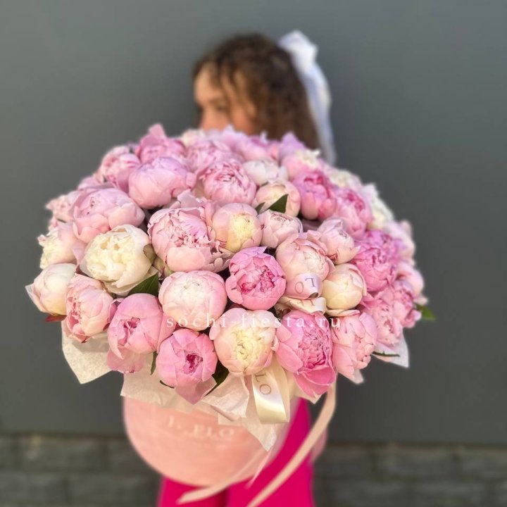 51 нежных пионов  в цилиндре в Калуге