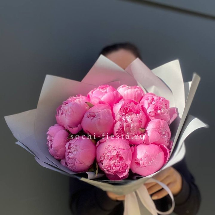 Пионы Алекс флеминг в Калуге