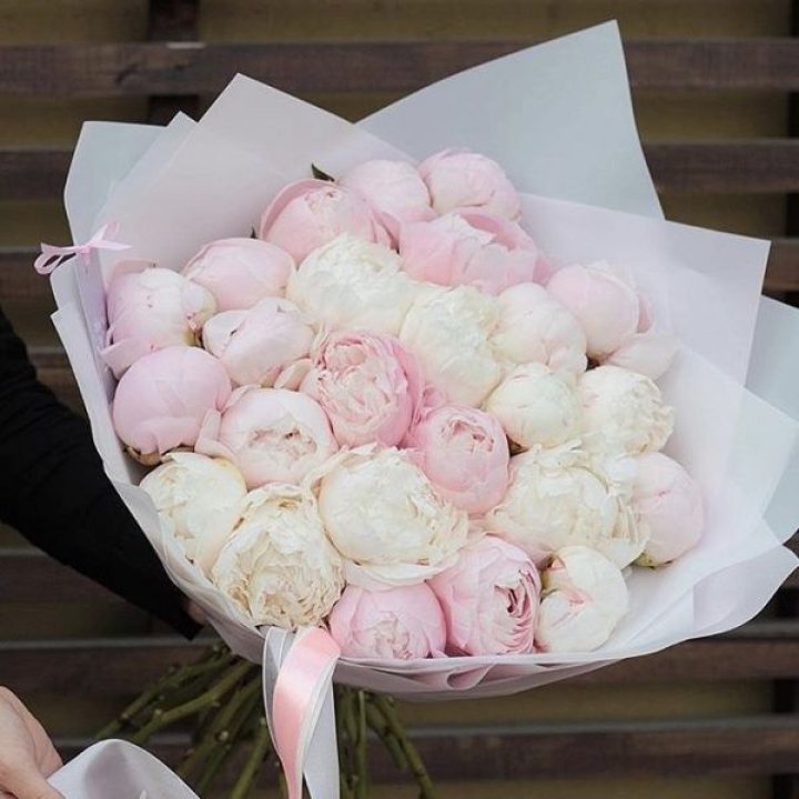 29 пионов в Калуге