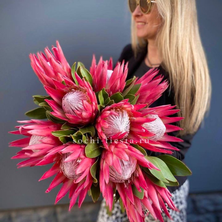 Протея штучно в Калуге