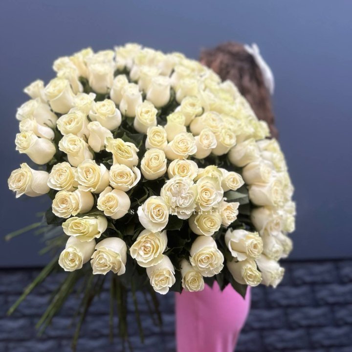 101 белая высокая импортная роза под ленту в Калуге