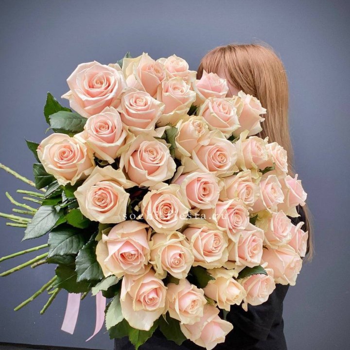 35 кремовых высоких роз в Калуге