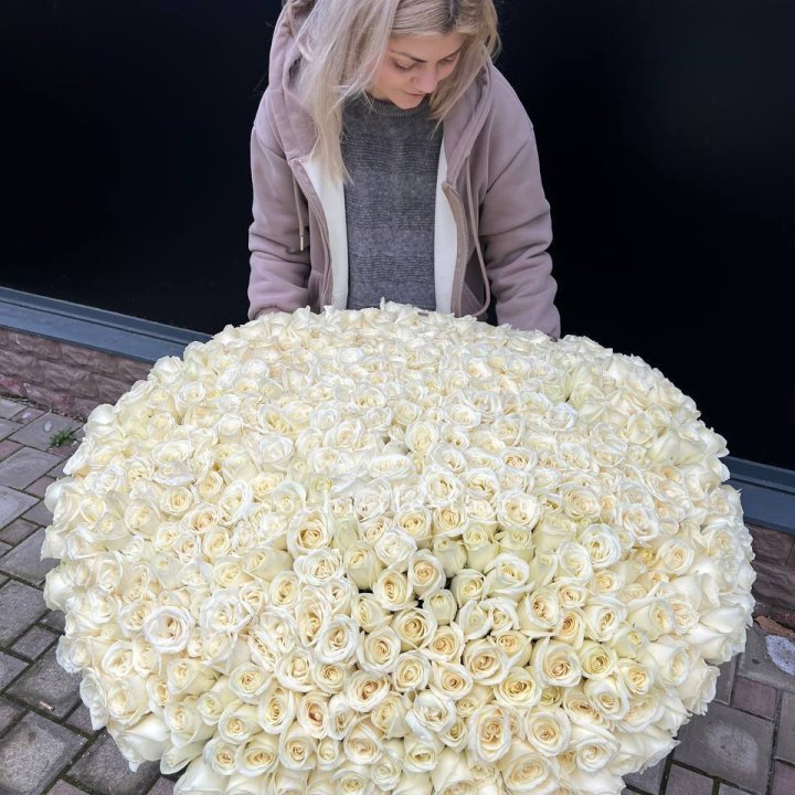 501 белая роза в корзине в Калуге