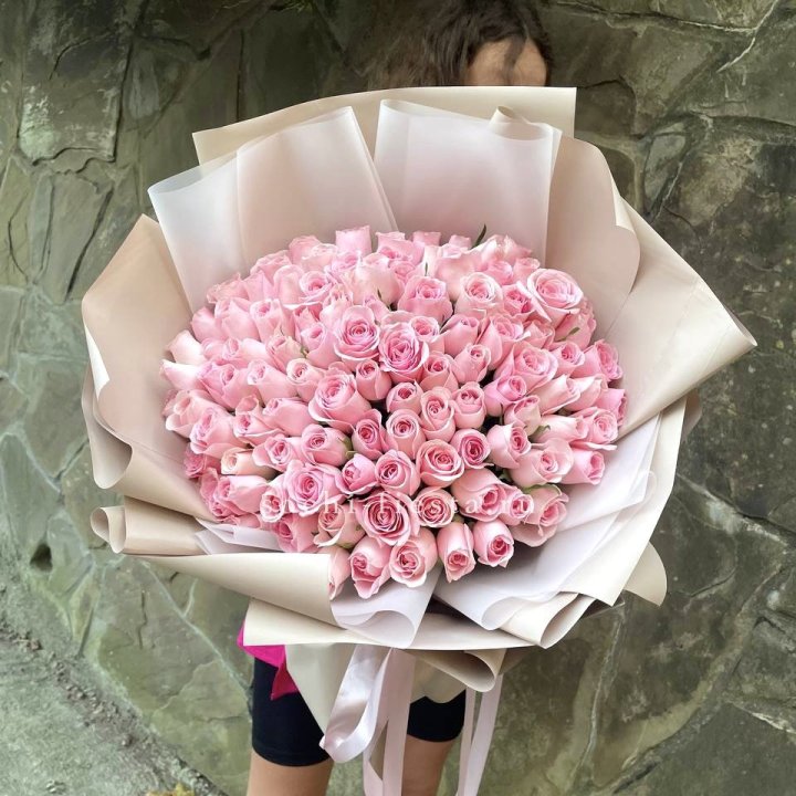 101 нежно-розовая роза Каролина  в Калуге