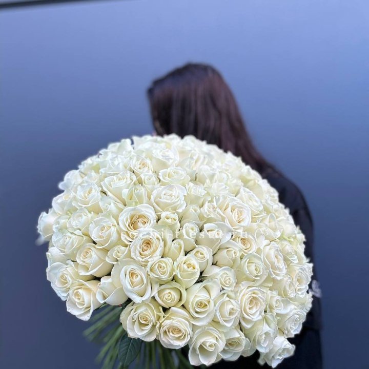 Охапка из 101 белой розы  в Калуге