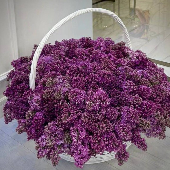 Корзина сирени в Калуге
