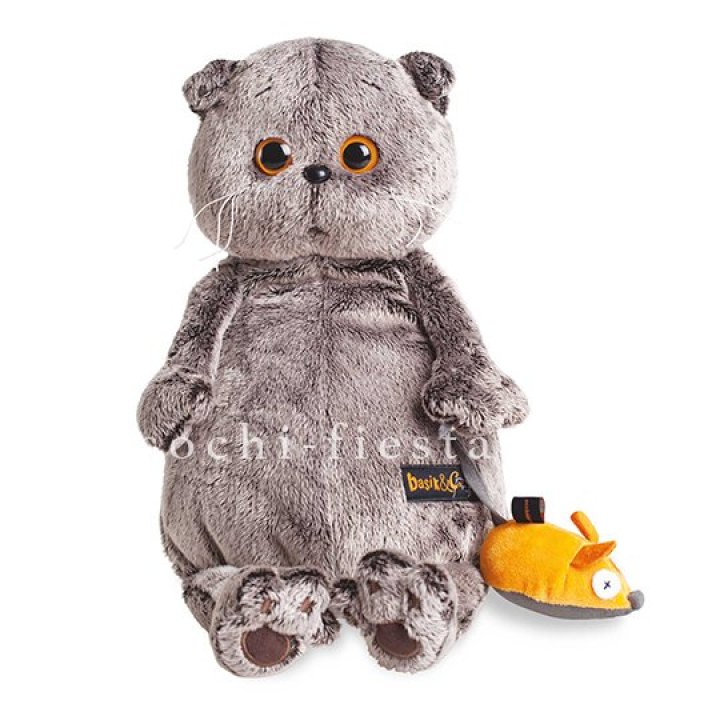 Кот Басик с мышкой в Калуге