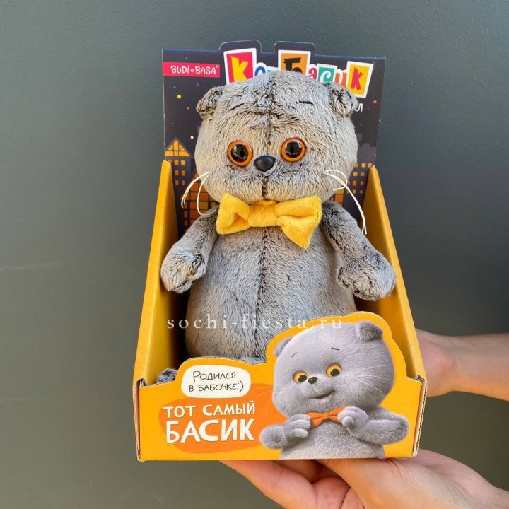 Кот Басик с бабочкой в Калуге